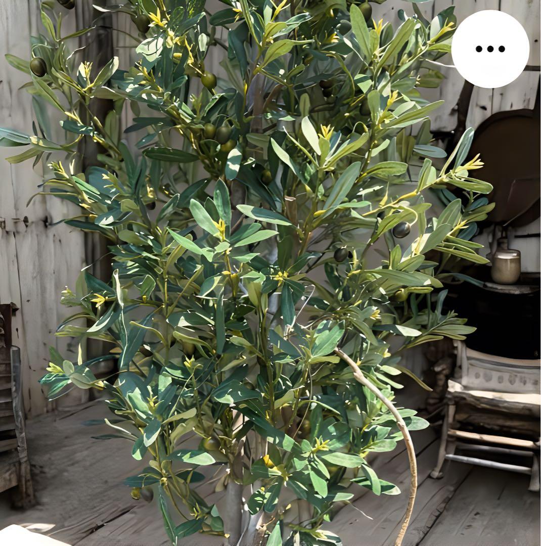 光触媒　人工観葉植物　ウォールグリーン　フェイクグリーン　オリーブtja
