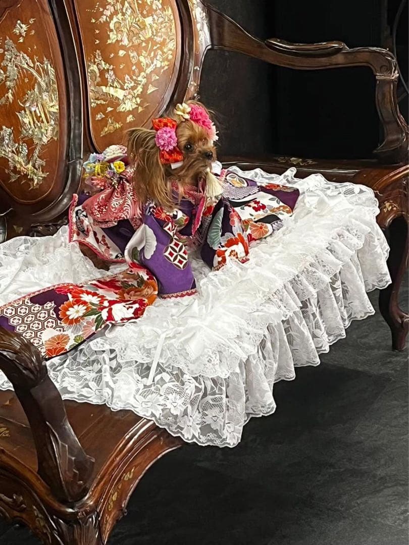 あなたのペットのクローンちゃん製作