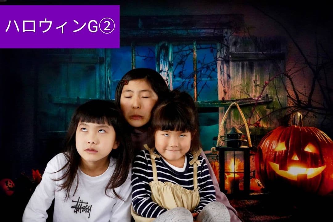 背景布　秋XD③　ペット撮影用フォトブース　ハロウィントリミングチョーカー販売中