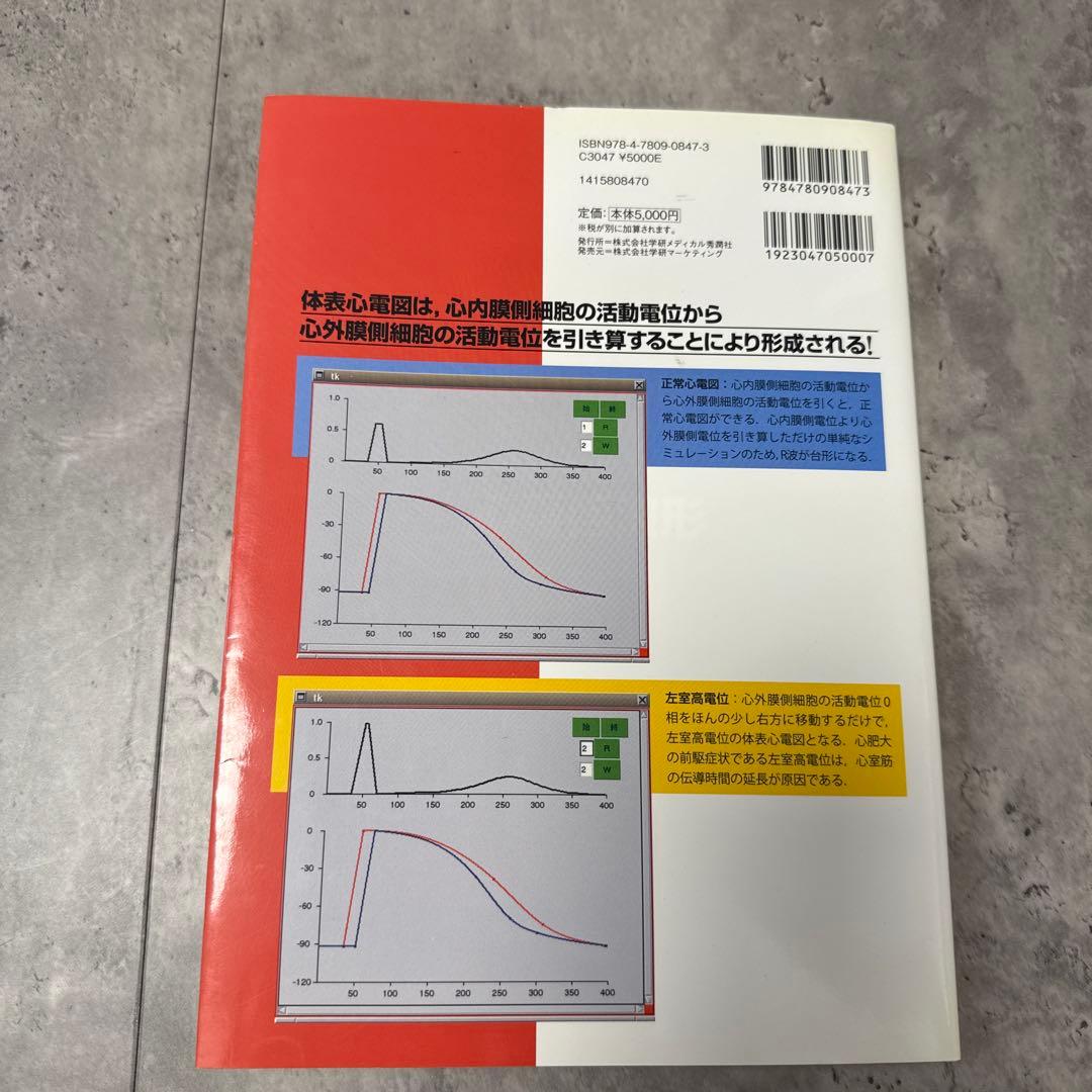 成り立ちから理解する心電図波形