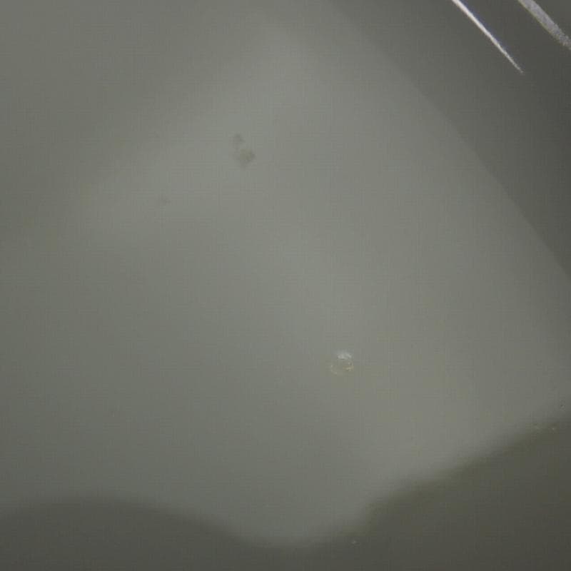 RU-6208　リチャードジノリ　パルメッテ　エメラルド　大皿　プレー度　4客