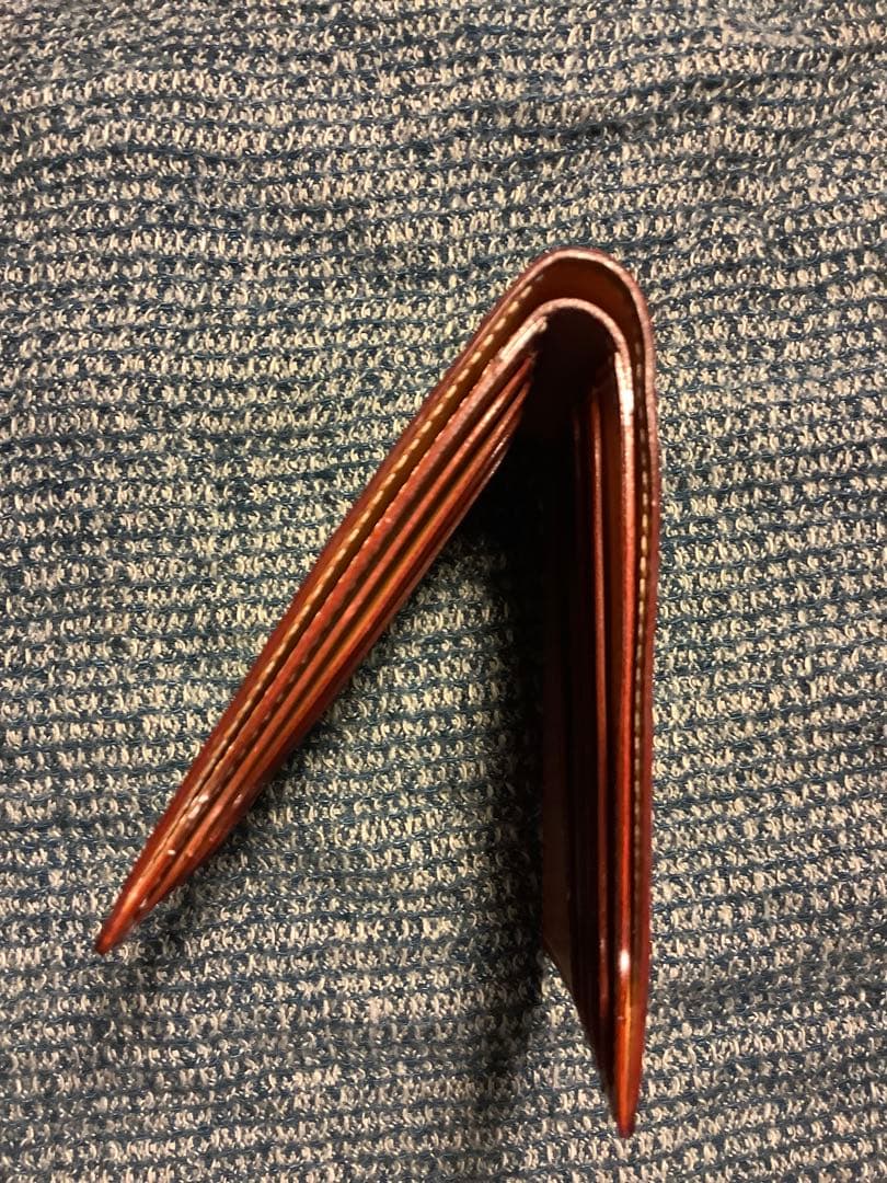 GANZO ナイルクロコ 折財布 中古 美品