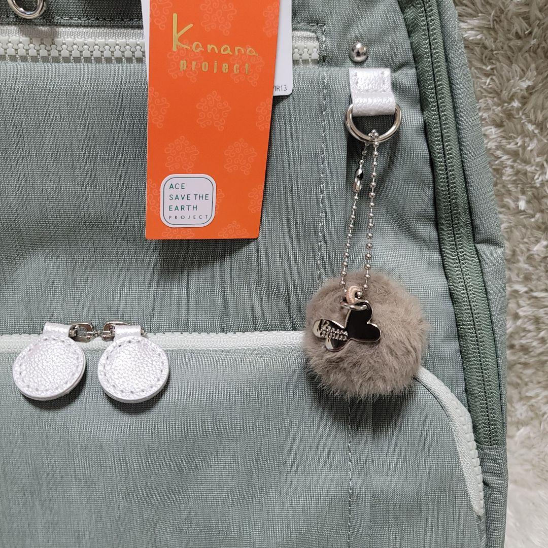 未使用タグ付き✨カナナプロジェクト 抗菌ポケットリュック　バックパック 11L