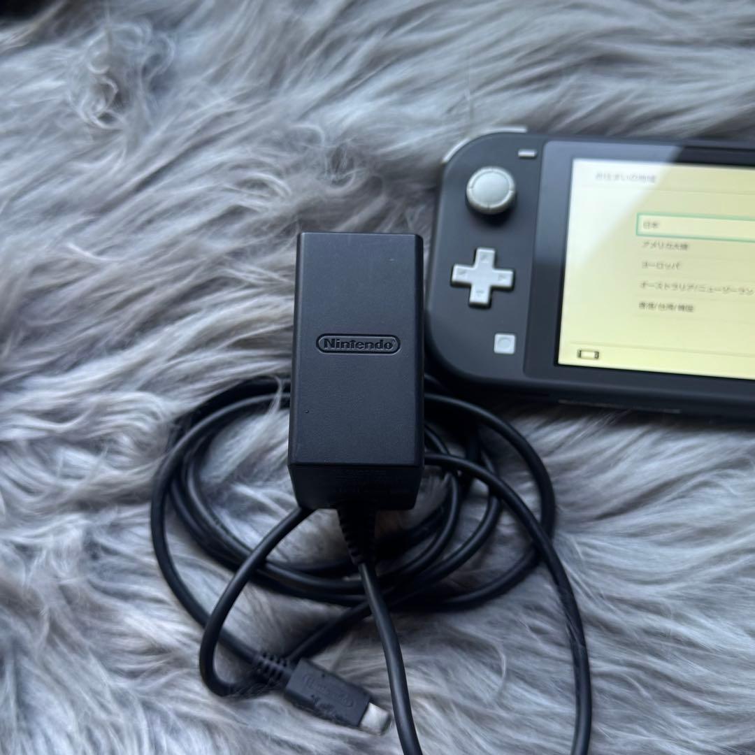 Nintendo Switch Lite 本体 グレー（※訳あり）