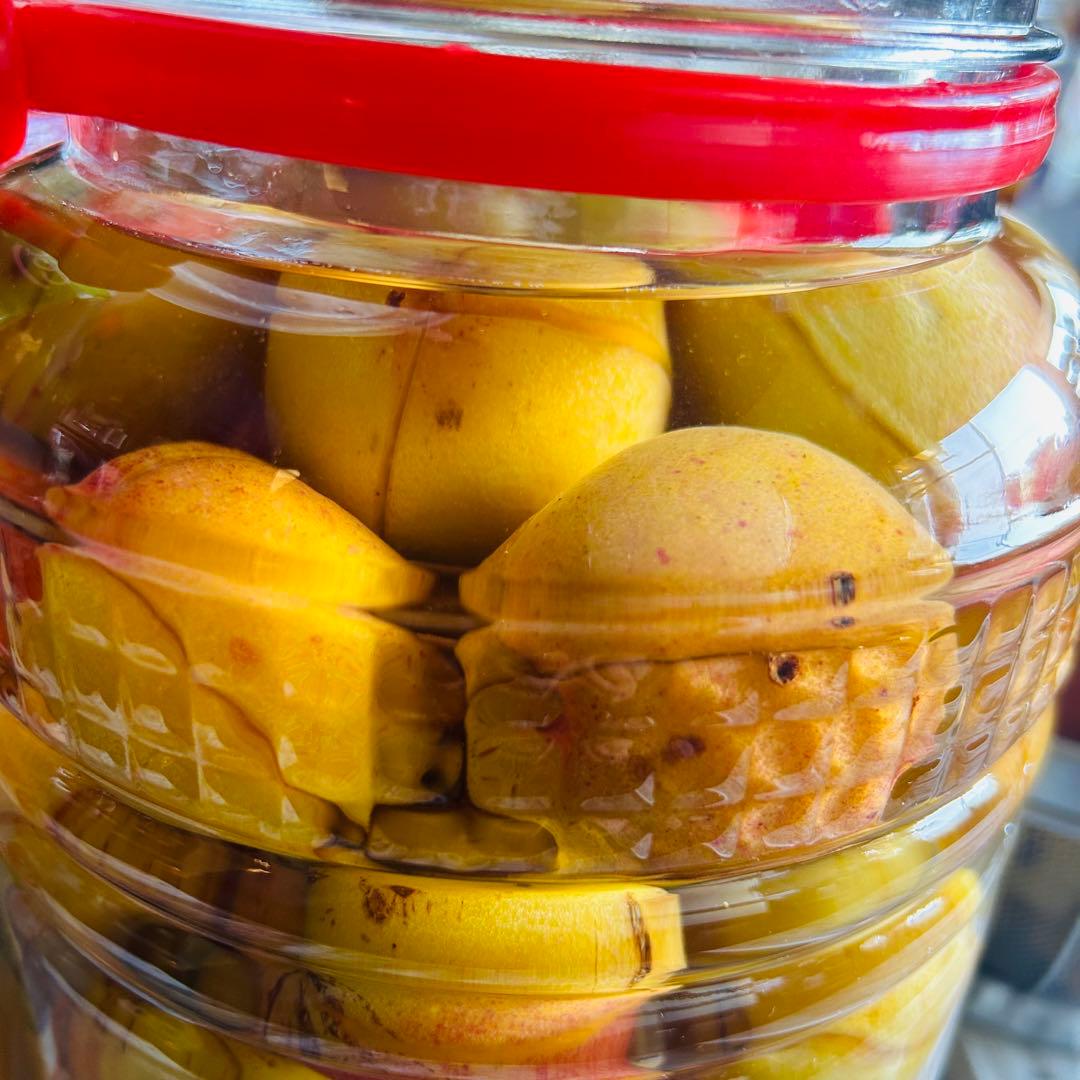 あんず酒　4ℓ瓶　　説明をお読みください