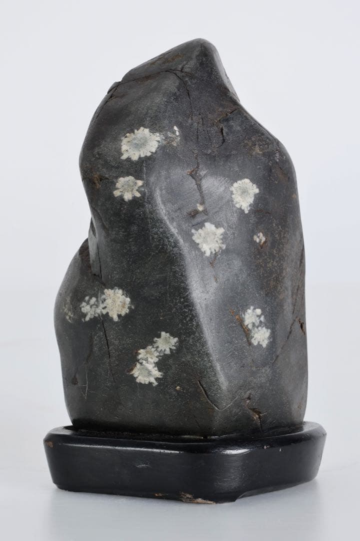 菊花石 白菊 小菊紋 947g 台座付 鑑賞石 原石 水石 盆石 天然石 古美術