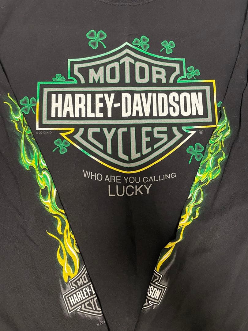 『入手困難』ハーレーダビッドソン グリーンフレイム ヴィンテージロンT 古着