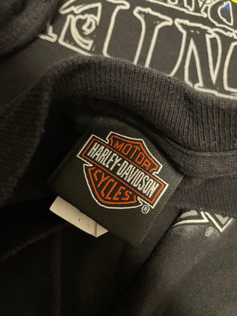『入手困難』ハーレーダビッドソン グリーンフレイム ヴィンテージロンT 古着