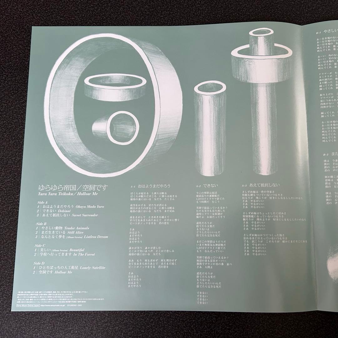 ゆらゆら帝国/空洞です レコードLP