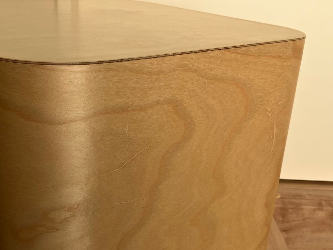 ファティーコンテナ　Fatty Containers Lサイズ　scope