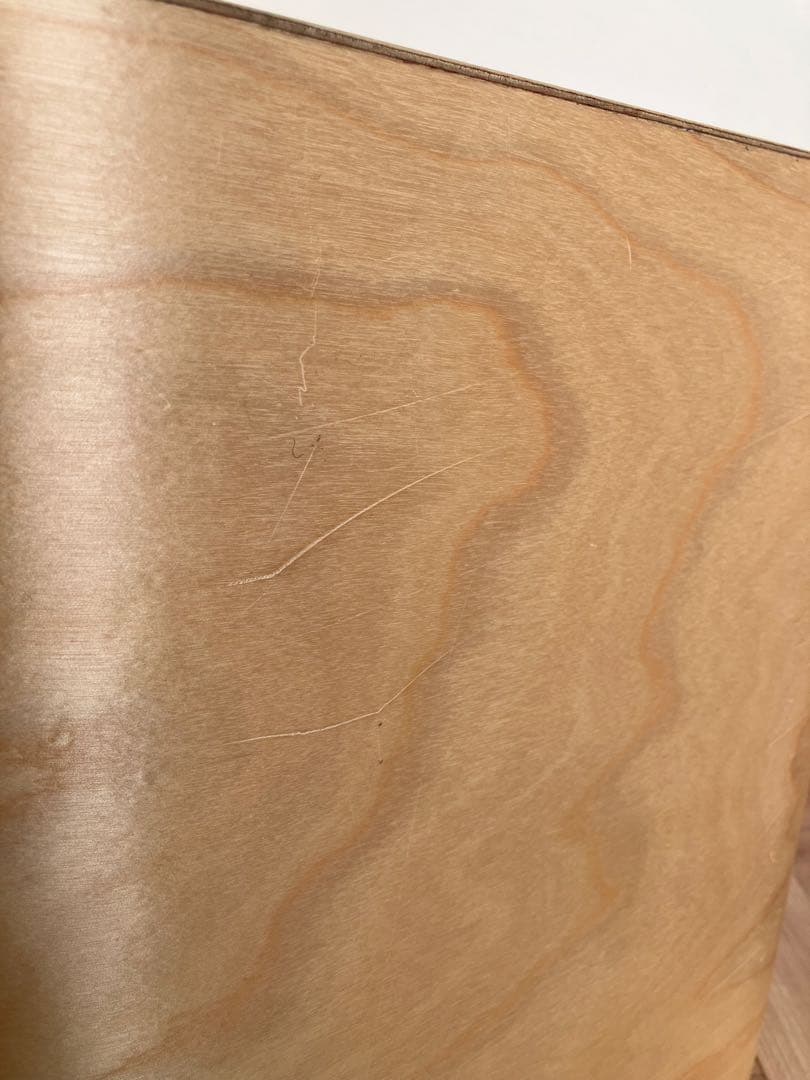 ファティーコンテナ　Fatty Containers Lサイズ　scope