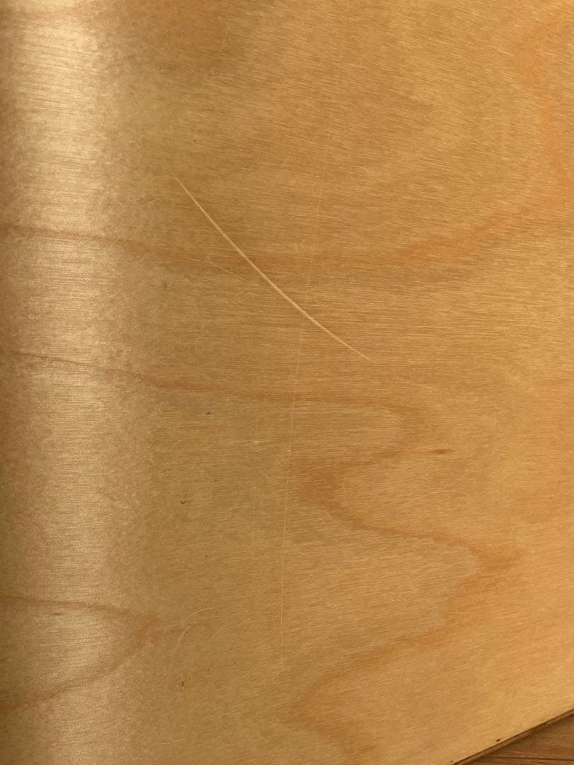 ファティーコンテナ　Fatty Containers Lサイズ　scope