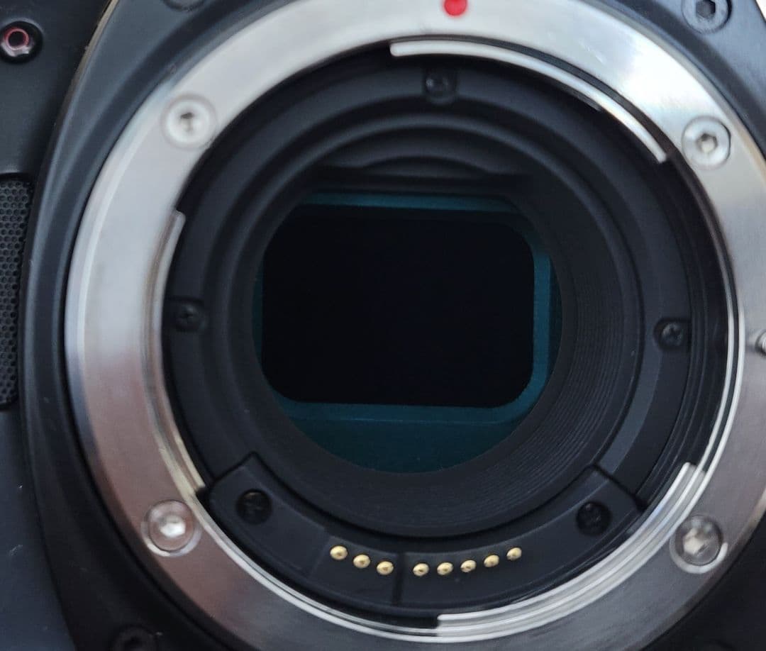 BMPCC 6Kpro（レンズとリグ付き）