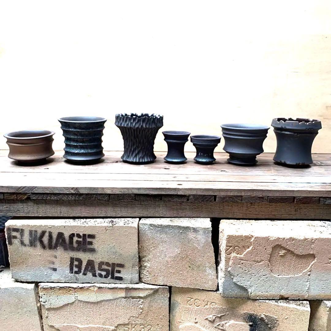 植木鉢 陶器 （塊根植物 アガベ パキプス ）