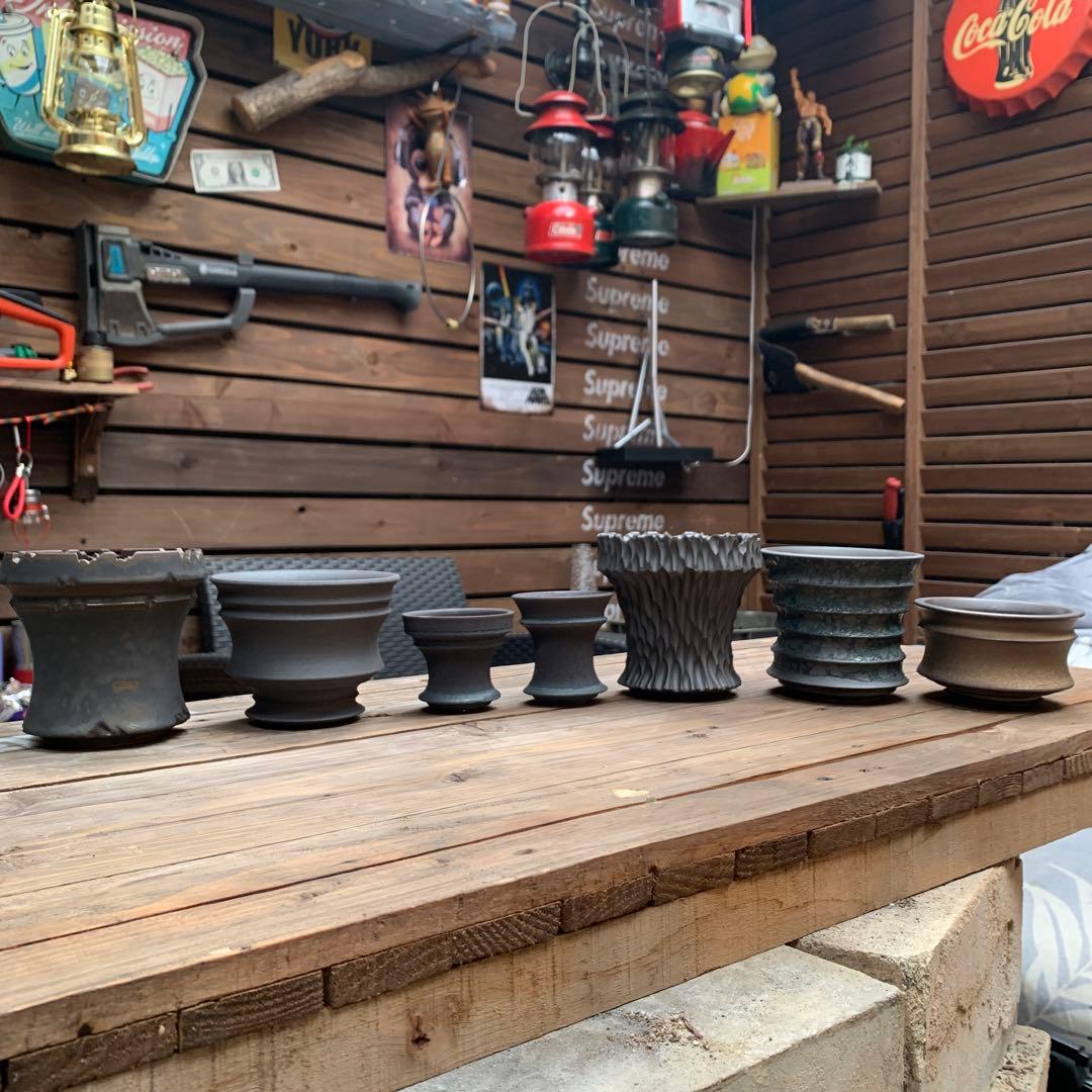 植木鉢 陶器 （塊根植物 アガベ パキプス ）