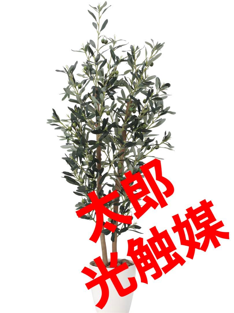 光触媒　人工観葉植物　ウォールグリーン　フェイクグリーン　オリーブ1.2