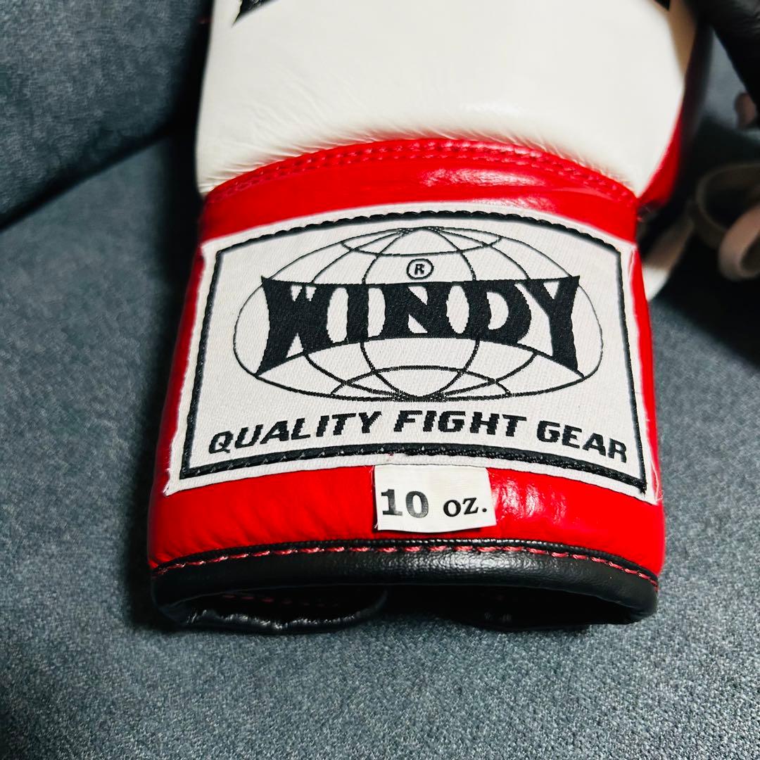 RISE ボクシンググローブ 10oz (美品)