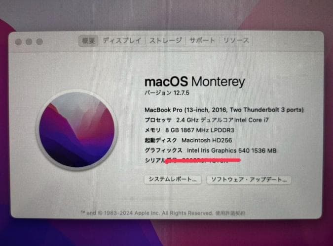 ジャンク MacBook Pro 13インチ 2016 A1708 本体のみ
