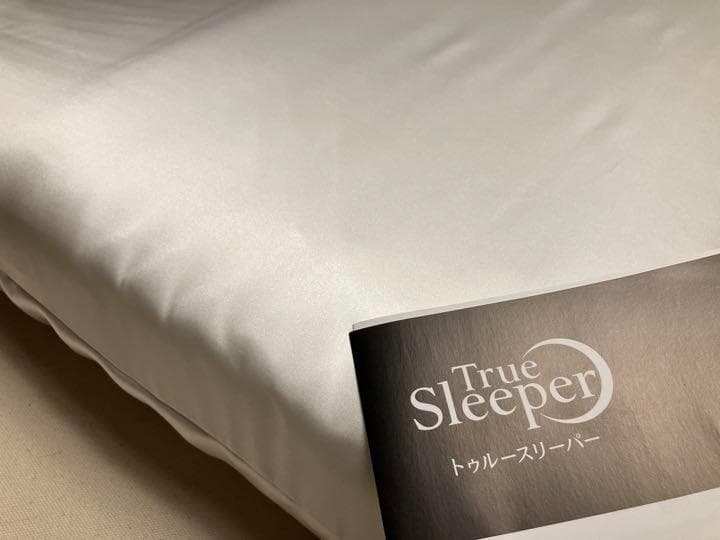 トゥルースリーパー　枕カバー　シルク　100％　19匁　ダブル サイズ　日本製