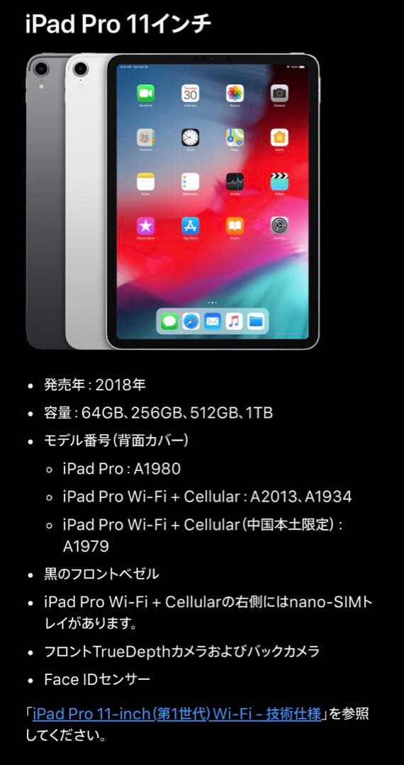 櫻*雨様 【ジャンク品】 iPad Pro 11インチ
