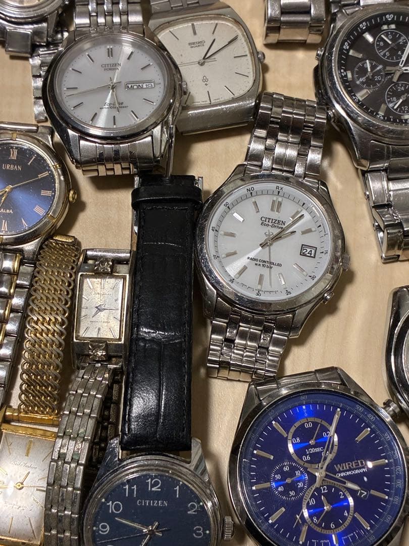 ホワイトキャット