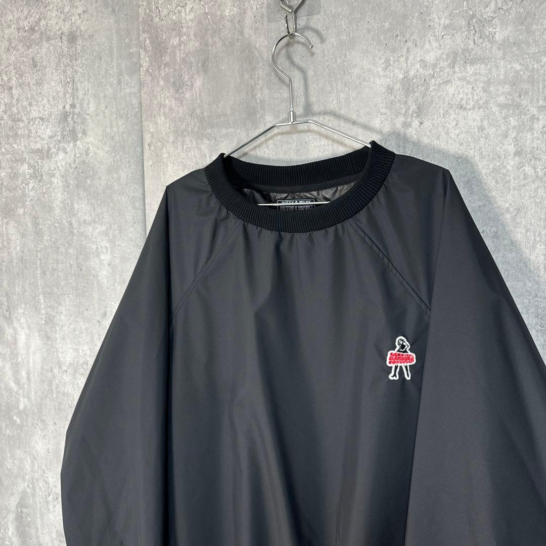 HYSTERIC GLAMOUR VIXEN GIRLワッペン プルオーバー L