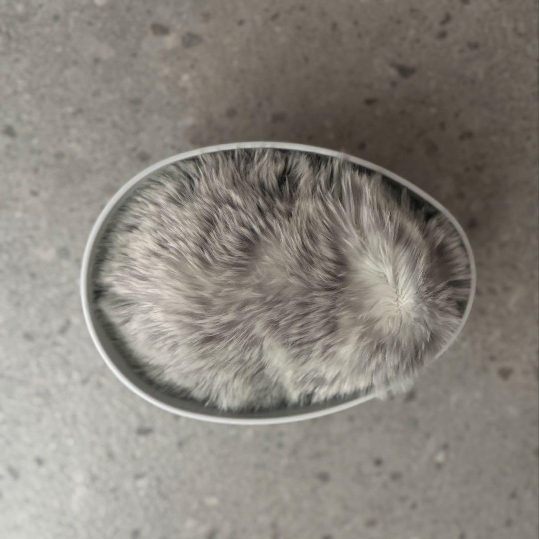 CASIO AIペット moflin(モフリン) シルバー 中古