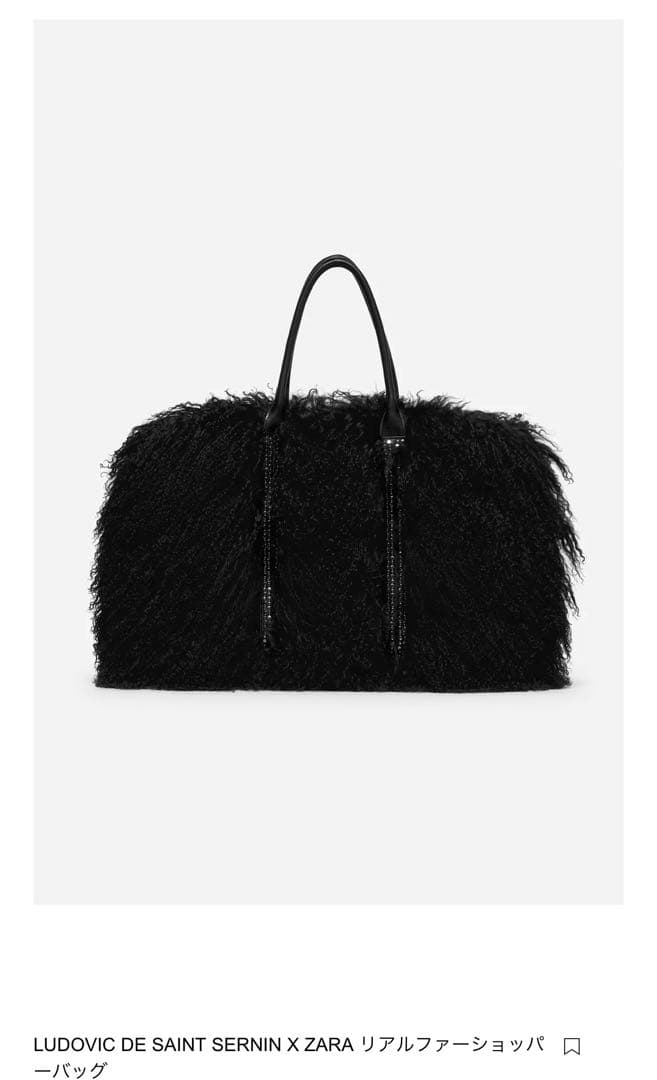 LUDOVIC DE SAINT SERNIN X ZARA トートバッグ