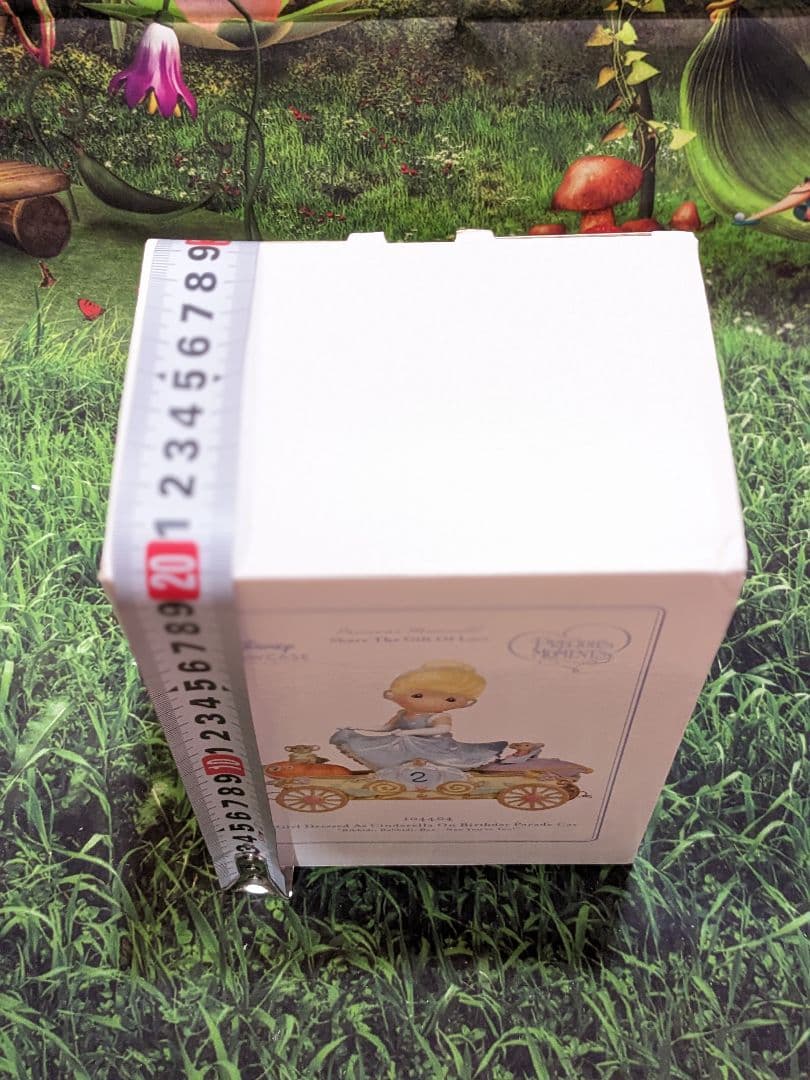 ディズニー　ショーケース　プレシャスモーメンツ　バースデーパレード　シンデレラ