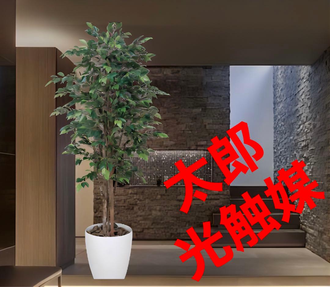 光触媒　人工観葉植物　フェイクグリーン　ロイヤルベンジャミン 1.6m