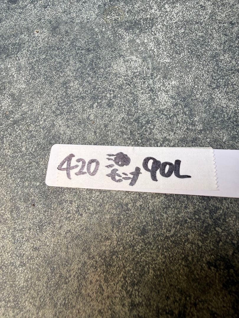 センナ　メリディオナリス　海外実生　発根済み　420