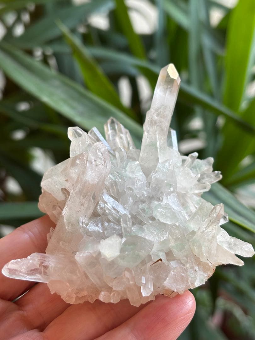 貴重　マダガスカル産　グリーンファントム　クラスター　167g 品薄　希少