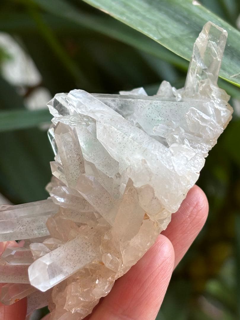 貴重　マダガスカル産　グリーンファントム　クラスター　167g 品薄　希少