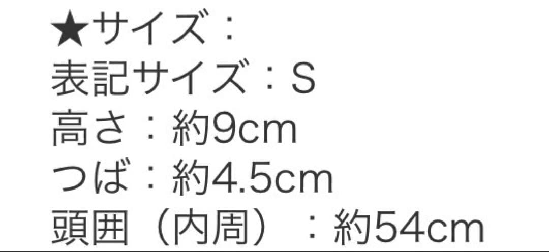 ラスランバジンスキー/モノグラムベイカーボーイハット