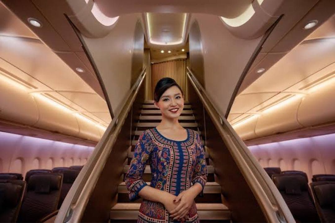 ももんじゃさん専用 モンブランスターウォーカー エアバスA380ファインライナー