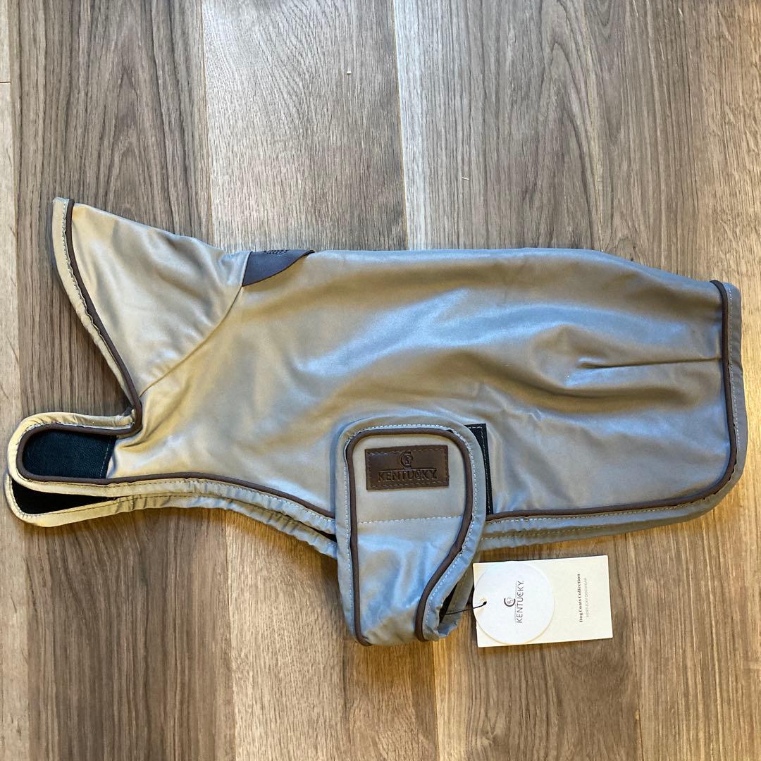 Kentucky ドッグコート