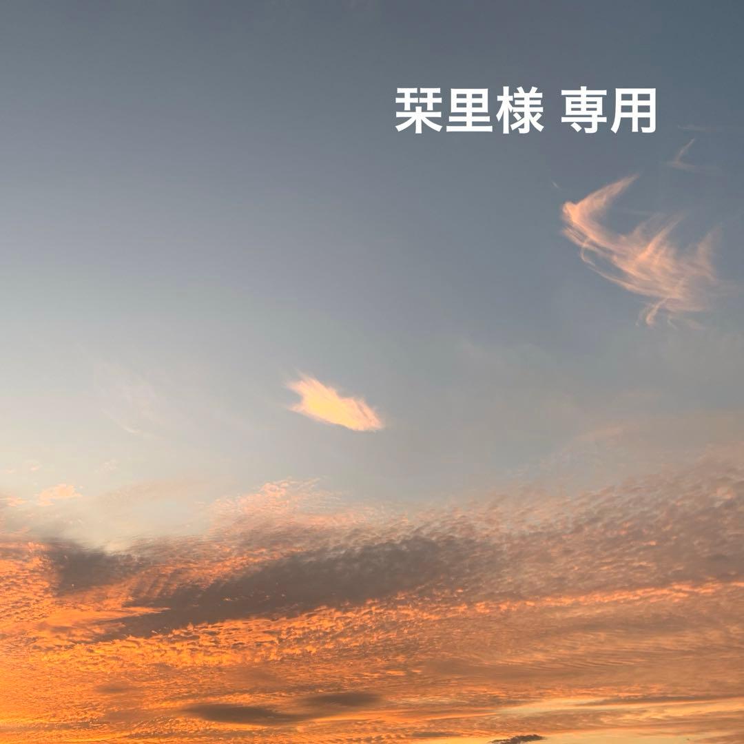 栞里