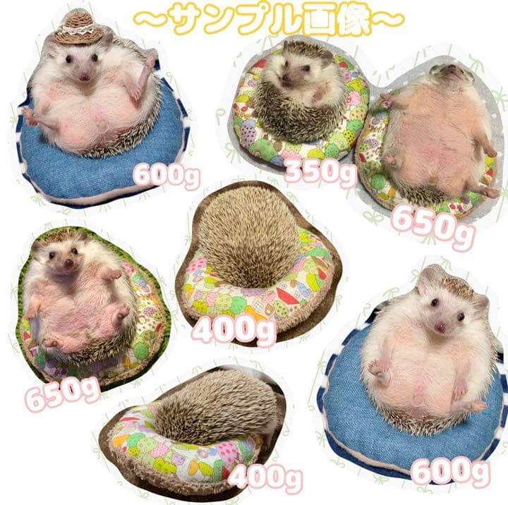 【リボン付きドーナツクッション】数字とハリネズミ柄×タオル地