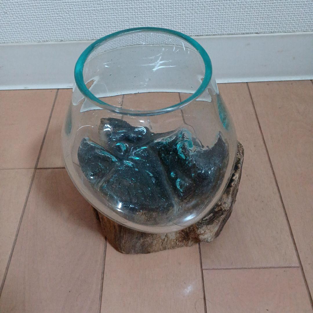 アクアリウム　ボトル&流木セット