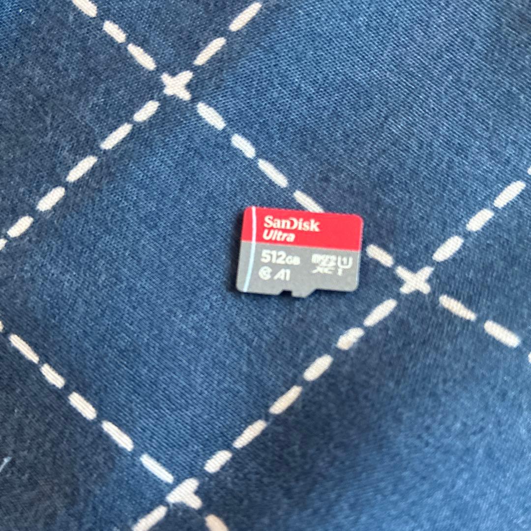 Nintendo Switch Lite 本体 + 512GB SDカード