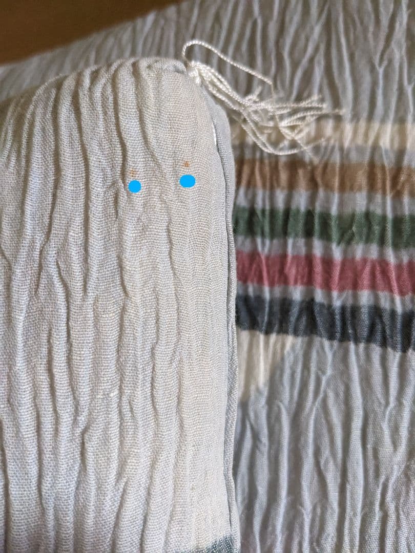 高級 夏用婚礼座布団 ふさ付き PARIS 5枚セット＋5枚カバー付（西川新品）