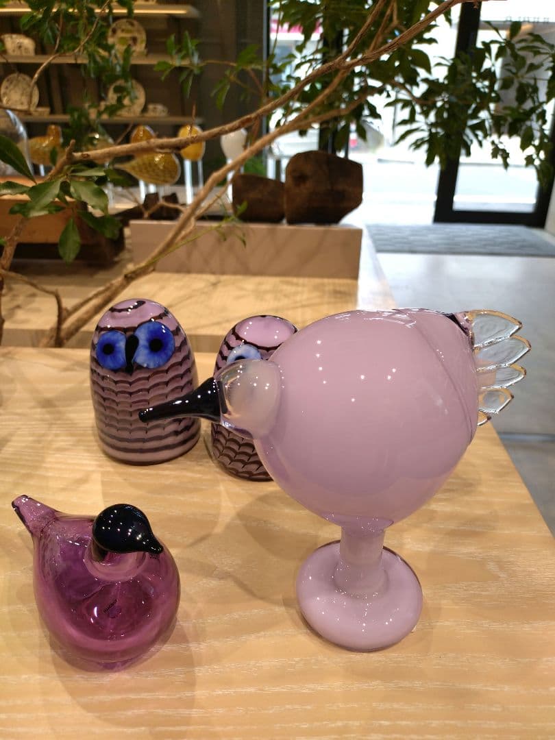 【中古/美品】　オイバトイッカ　アウル　ライラック　限定品