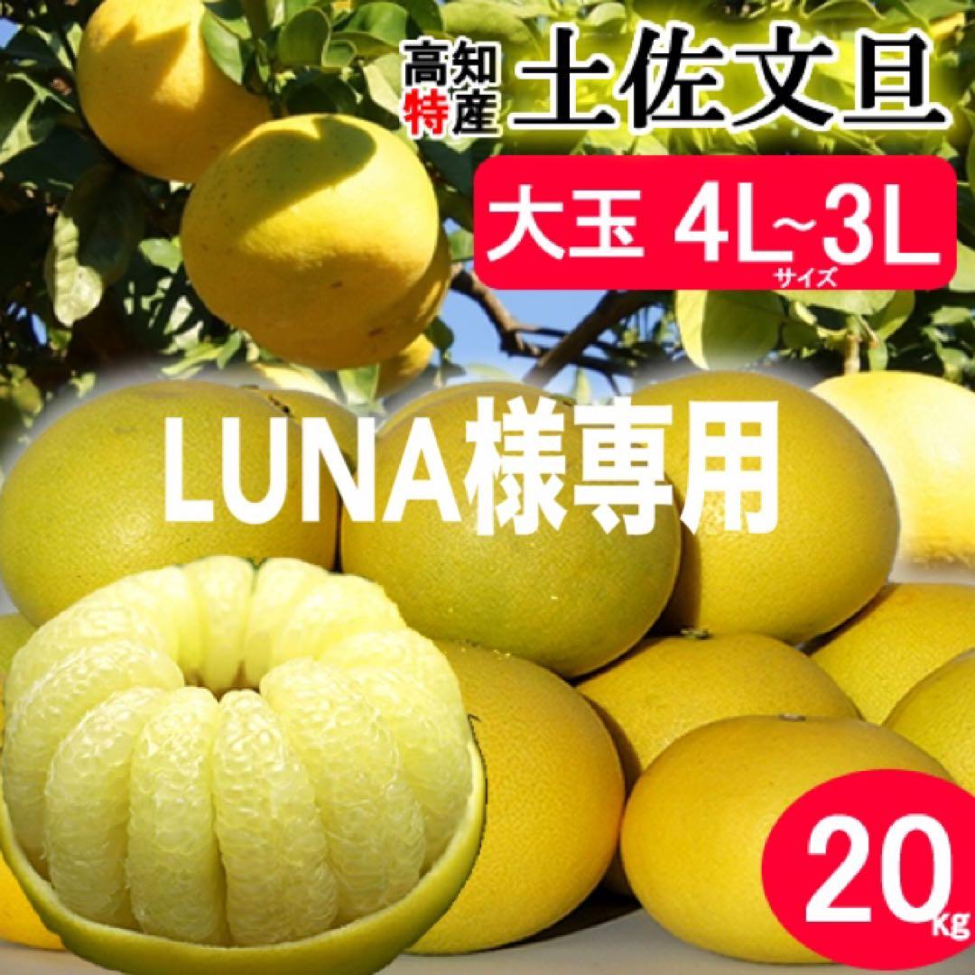 LUNA　高知特産　土佐文旦　大玉サイズ　約20kg