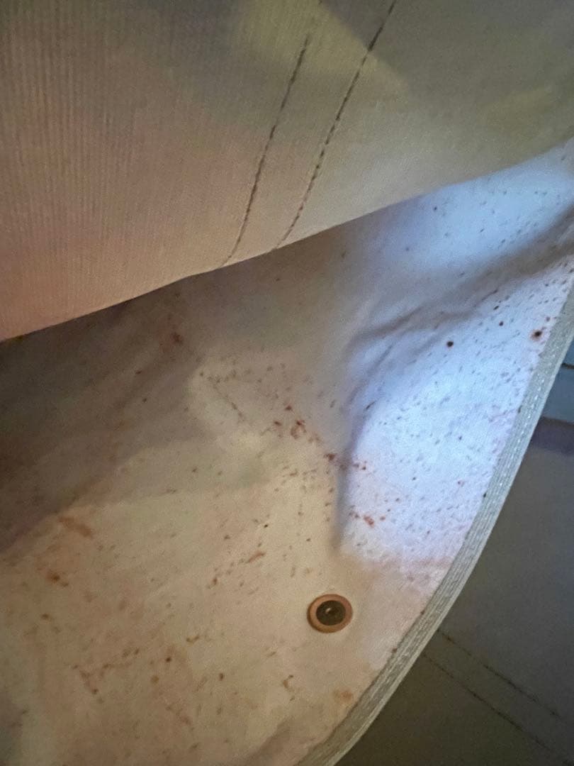 さ*ら様 ルイヴィトン ボストンバッグ