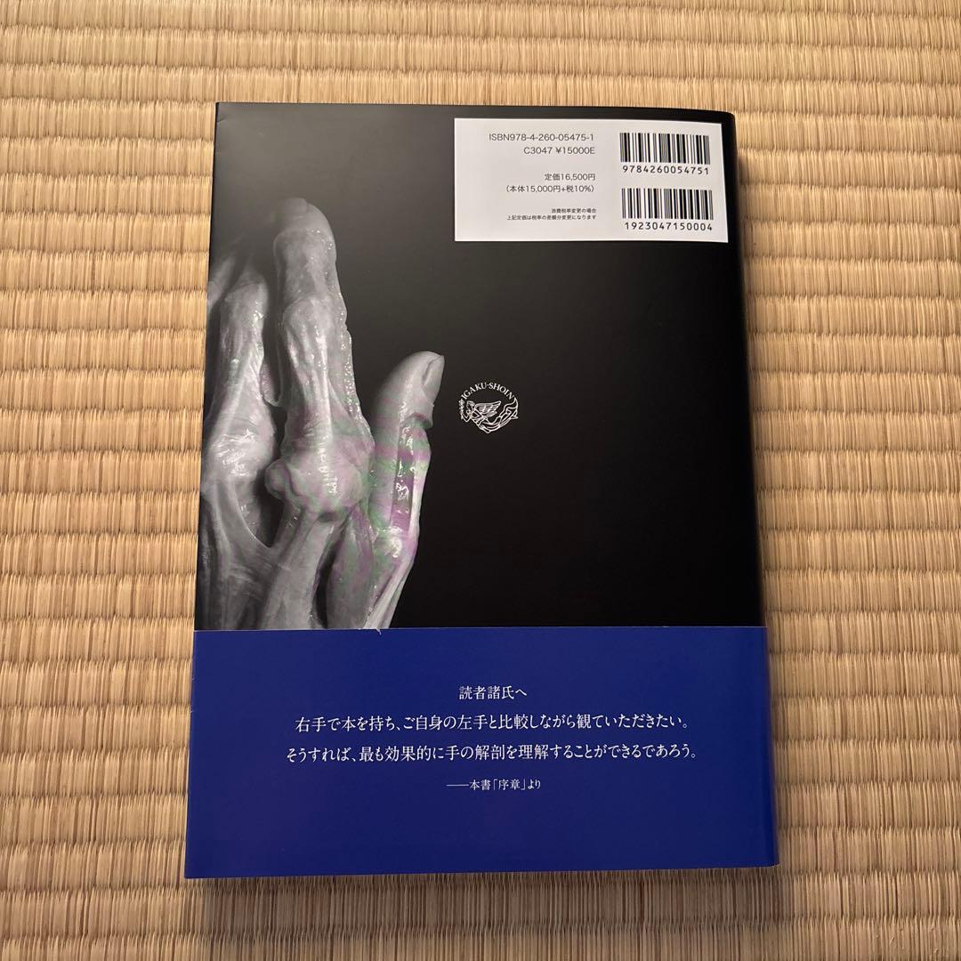 手の構造 Structures of the Hand