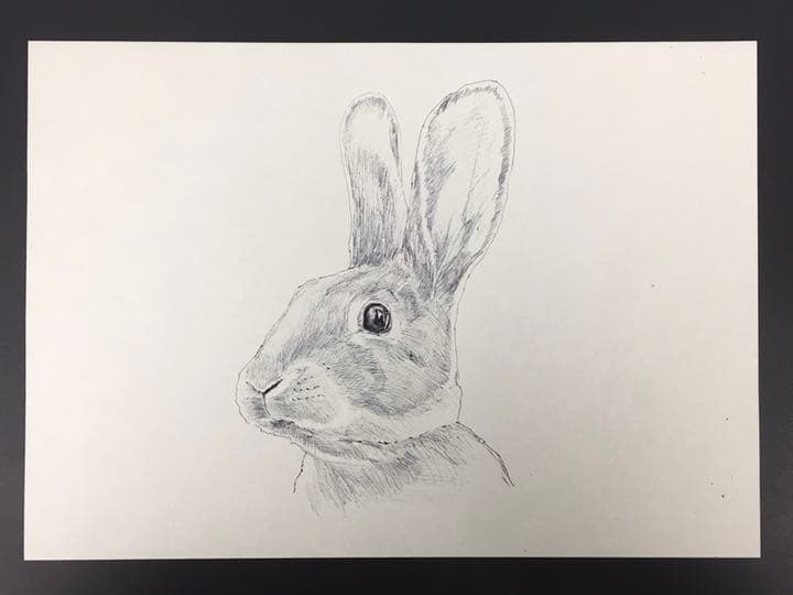 干支　前半　イラスト　6枚