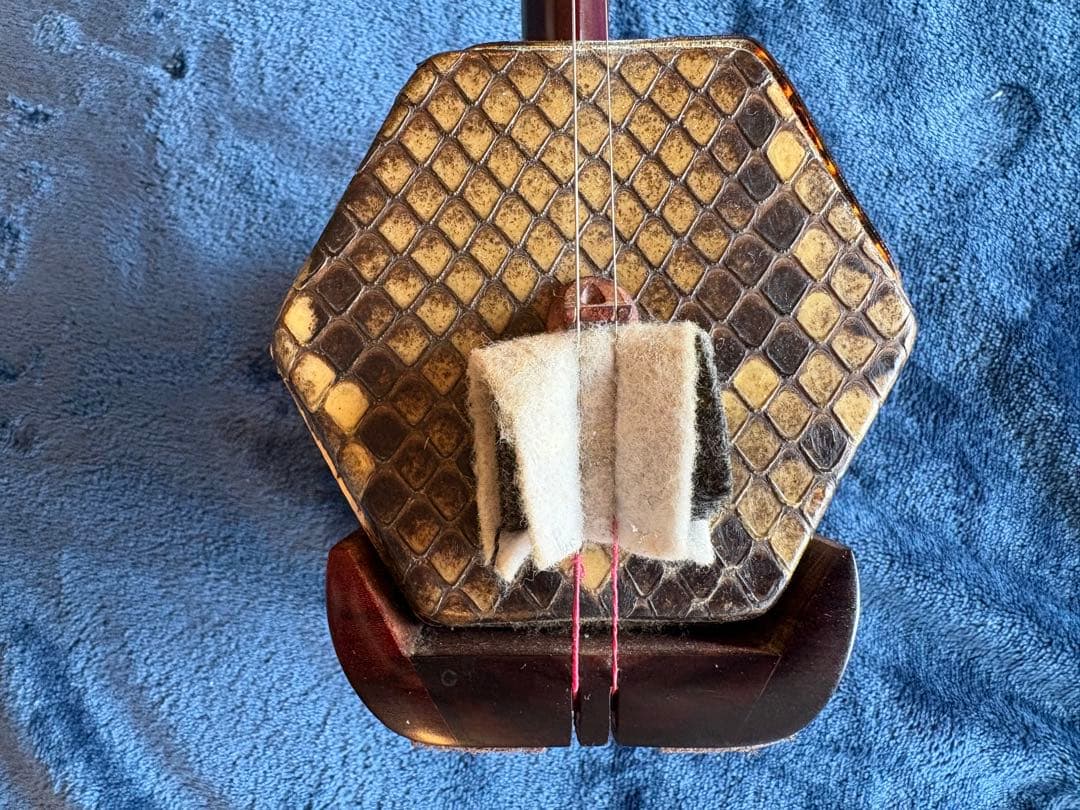 二胡　ハードケース　換えの弓毛付き