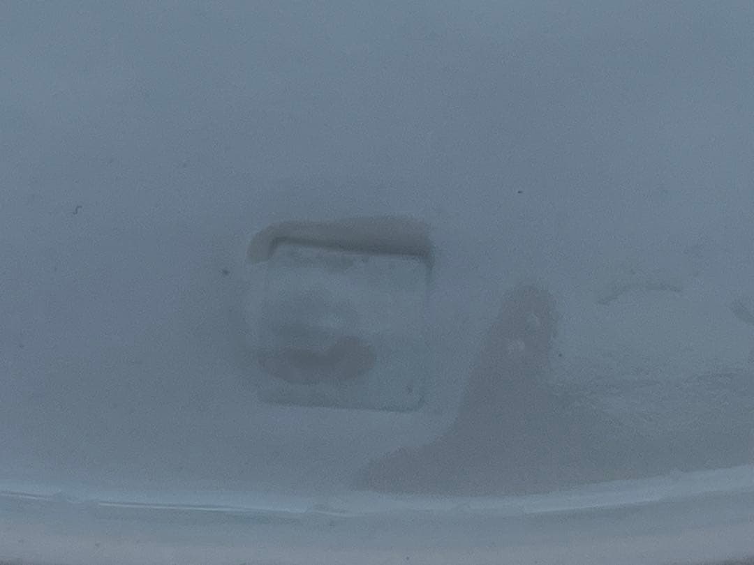 有田焼　鶴　皿　縁起物　アンティーク　6枚セット