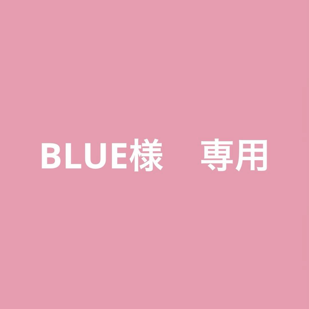 BLUEページ