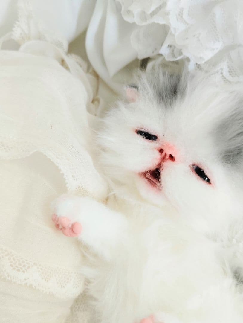 生後２週間♡おっとり♡子猫ちゃん♡アートドール♡ぬいぐるみ♡